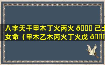 八字天干甲木丁火丙火 🐟 己土女命（甲木乙木丙火丁火戊 🐅 土己土是什么意思）